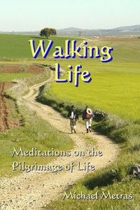 bokomslag Walking Life: Meditations on the Pilgrimage of Life