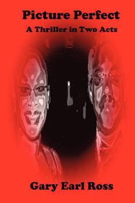 Gary Earl Ross - Picture Perfect A Thriller in Two Acts, Häftad