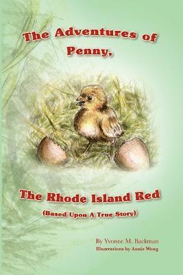 bokomslag Adventues of Penny, The Rhode Island Red