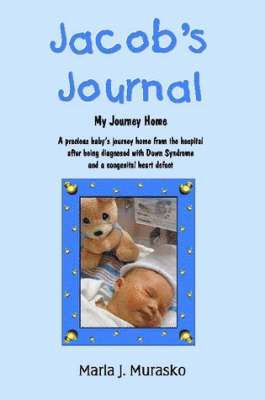 Jacob's Journal - My Journey Home 1