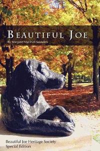 bokomslag Beautiful Joe