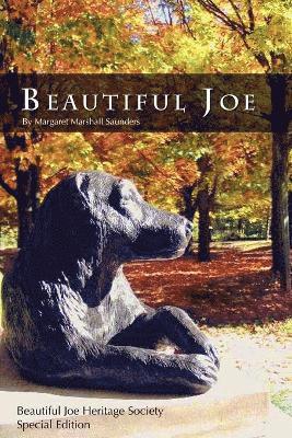 Beautiful Joe 1