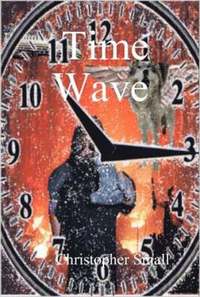 bokomslag Time Wave