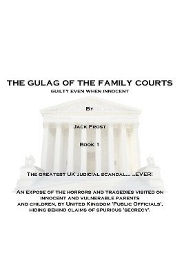 bokomslag Gulag Of The Family Courts