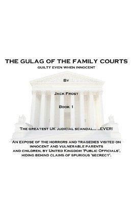 bokomslag The Gulag Of The Family Courts