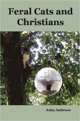 Feral Cats and Christians 1