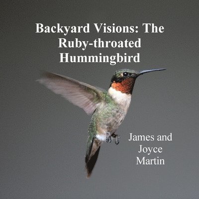 Backyard Visions: The Ruby-throated Hummingbird 1