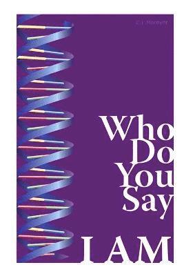 bokomslag Who Do You Say I Am