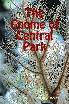 bokomslag Gnome of Central Park