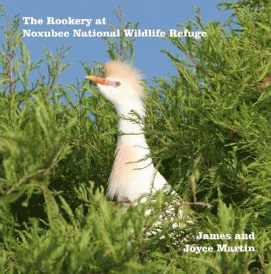 The Rookery at Noxubee Wildlife Refuge 1