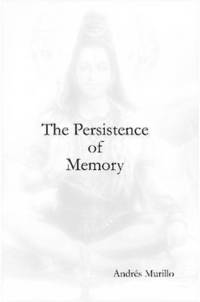 bokomslag Persistence of Memory