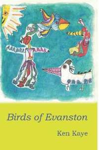 bokomslag Birds of Evanston