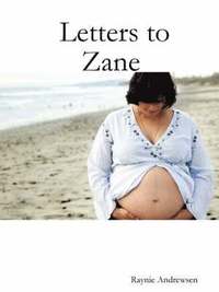 bokomslag Letters to Zane