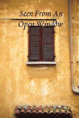 Seen From An Open Window 1