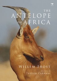 bokomslag The antelope of Africa