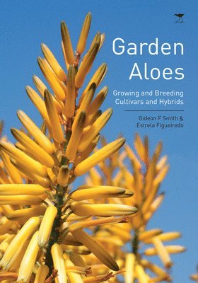 Garden aloes 1