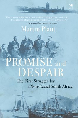 Martin Plaut - Promise and despair, Häftad