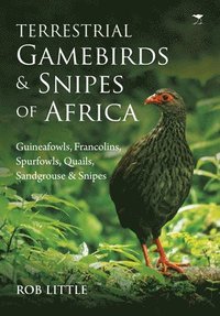 bokomslag Terrestrial gamebirds & snipes of Africa