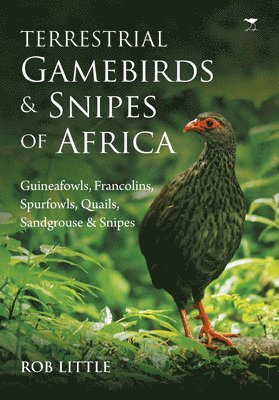 bokomslag Terrestrial gamebirds & snipes of Africa