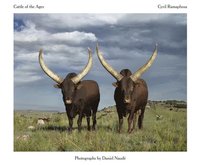 bokomslag Cattle of the Ages