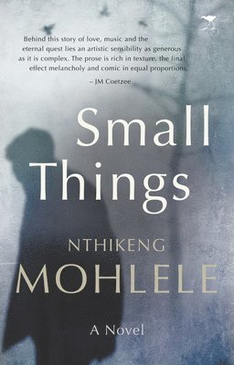 bokomslag Small things
