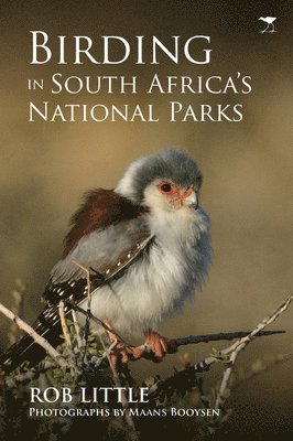bokomslag Birding in South Africas national parks