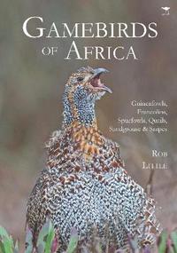 bokomslag Gamebirds of Africa