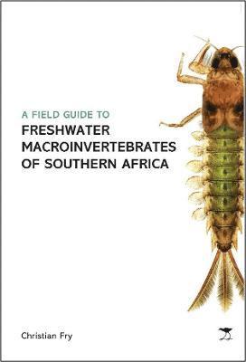 bokomslag Field Guide to the Freshwater Macroinvertebrates of Southern Africa