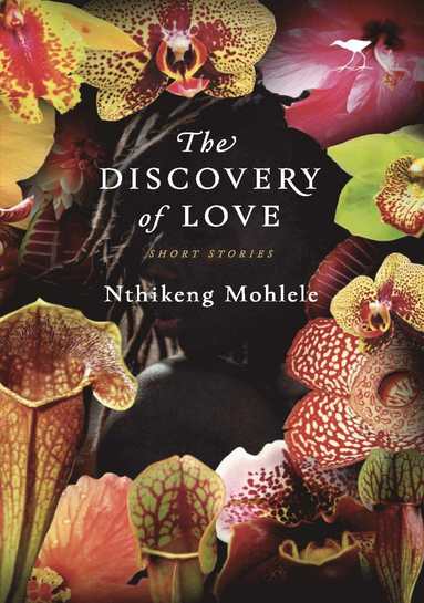 bokomslag The Discovery of Love