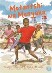 bokomslag Montantshi wa Monyaka