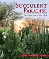 bokomslag Succulent paradise