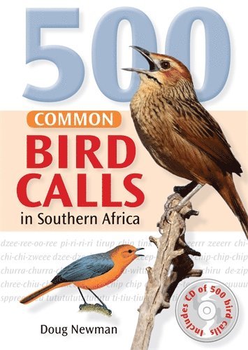 Doug Newman - 500 Common Bird Calls in Southern Africa (with CD), Häftad