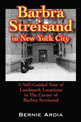 bokomslag Barbra Streisand in New York City