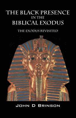 bokomslag Black Presence in the Biblical Exodus
