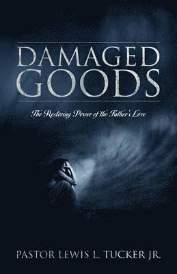 bokomslag Damaged Goods