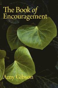 bokomslag The Book of Encouragement