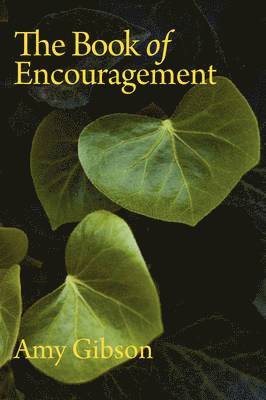 bokomslag The Book of Encouragement