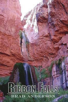 Brad Anderson - Ribbon Falls, Häftad
