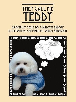 bokomslag They Call Me Teddy