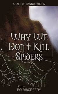 bokomslag Why We Don't Kill Spiders