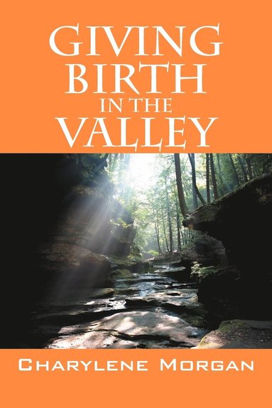 bokomslag Giving Birth in the Valley