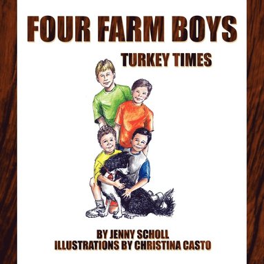 bokomslag Four Farm Boys