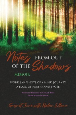Notes from Out of the Shadows 1