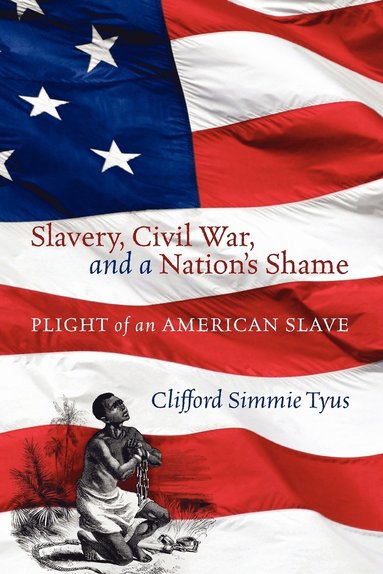 bokomslag Slavery, Civil War, and a Nation's Shame