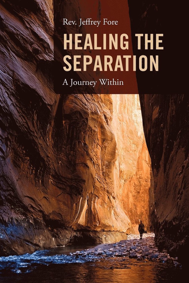 Healing the Separation 1