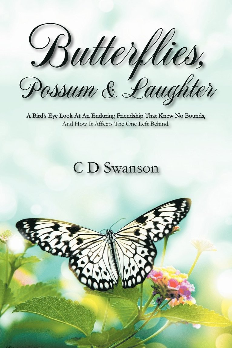 Butterflies, Possum & Laughter 1