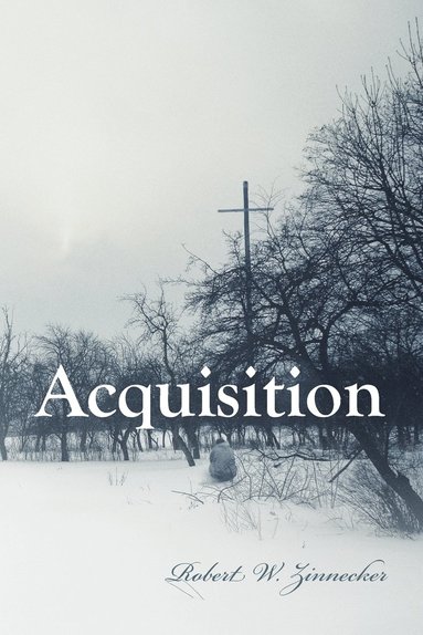 bokomslag Acquisition