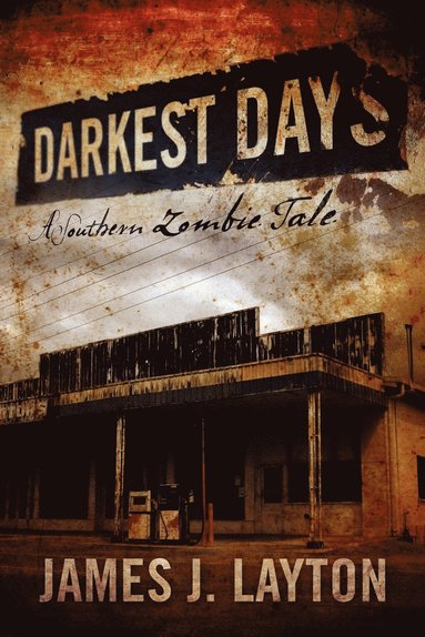 bokomslag Darkest Days