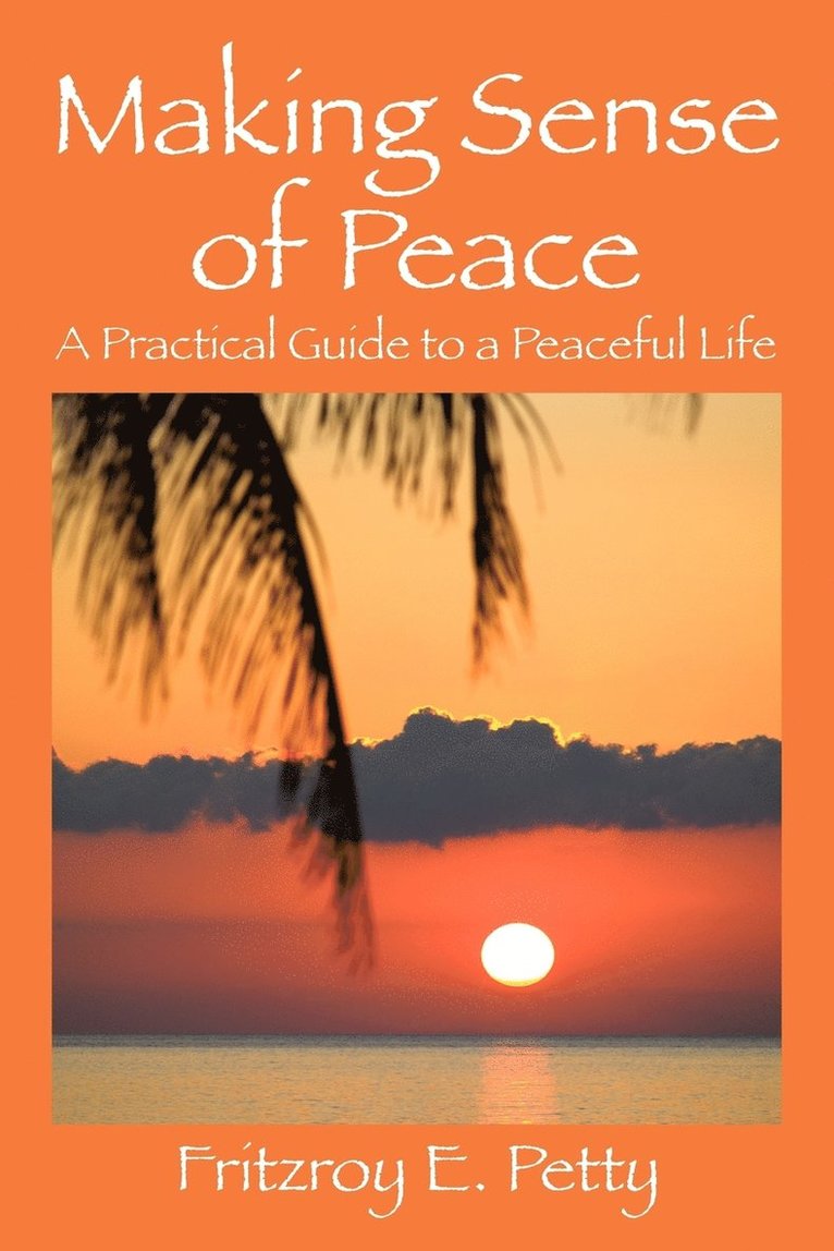 Making Sense of Peace 1