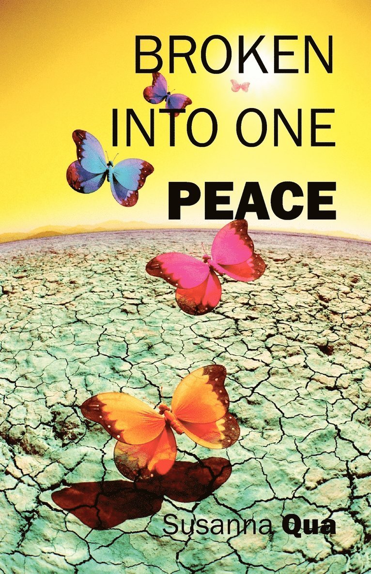 Broken into One Peace 1